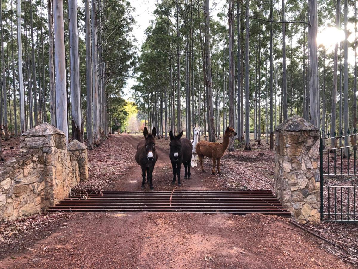 Clover Cottage Country Retreat Manjimup Eksteriør bilde