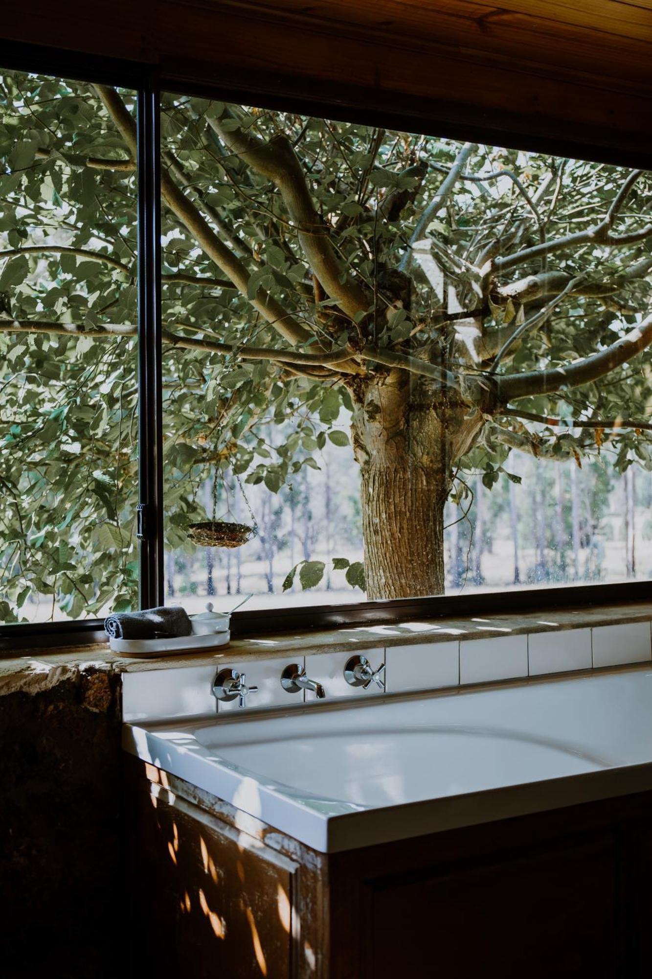 Clover Cottage Country Retreat Manjimup Eksteriør bilde